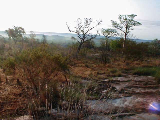 PA170136.JPG