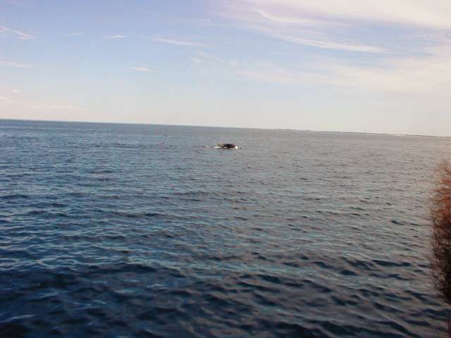 PB150270.JPG
