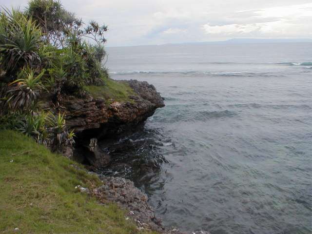 PB200303.JPG