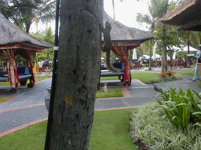 PB200305.JPG