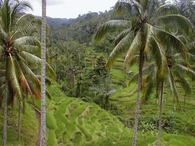 PB220331.JPG
