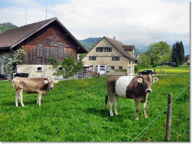 22Horgen-Urnaesch.jpg
