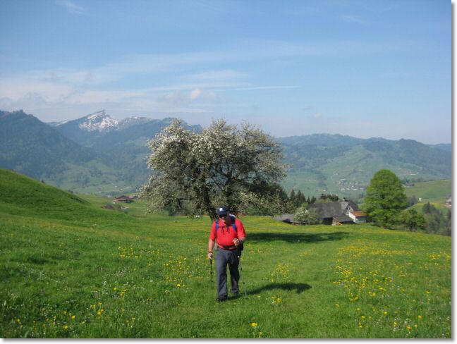 29Horgen-Urnaesch.jpg